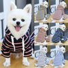 Striped Pup Hoody