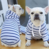 Striped Pup Hoody