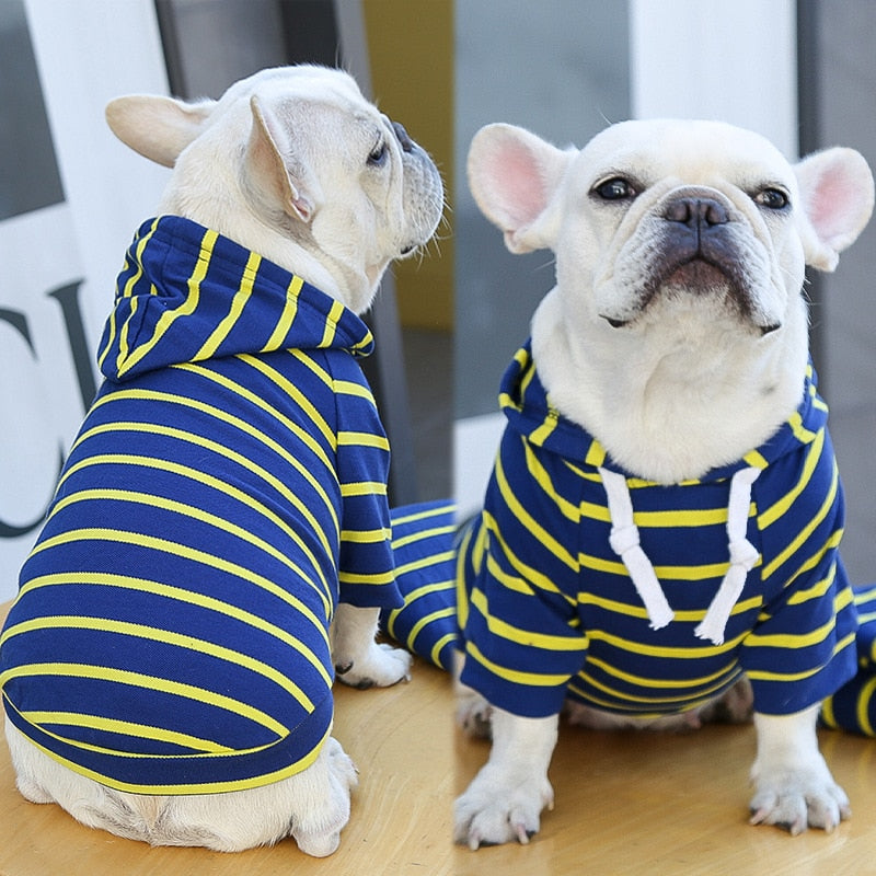 Striped Pup Hoody