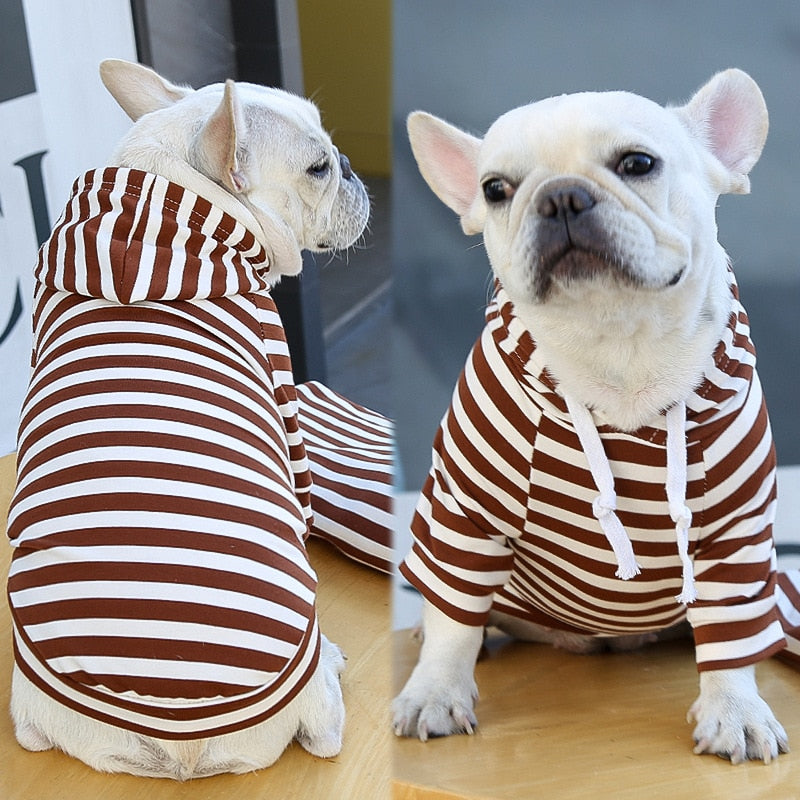 Striped Pup Hoody